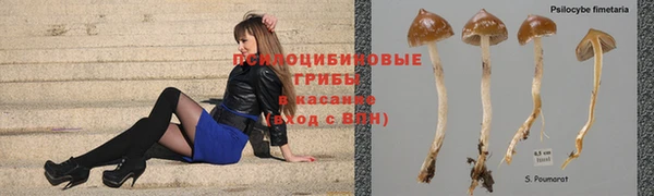 тгк Верхнеуральск
