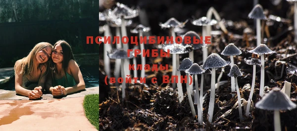 apvp Бородино