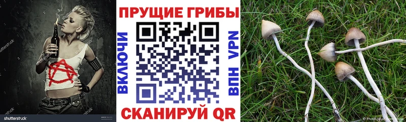 Псилоцибиновые грибы Magic Shrooms дарнет шоп hydra зеркало Монино